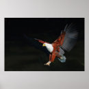 Search for large wings posters Winged