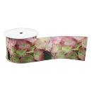 Search for hydrangea ribbon Pretty