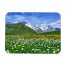 Search for spring magnets Wildflowers