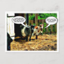Search for comic book postcards Humour