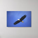 Search for low angle view art Freedom