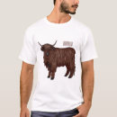 Search for highland cow tshirts Cattle
