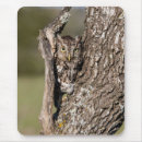 Search for screech mouse mats Danita delimont