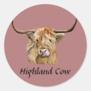 Search for cow horns stickers Highland