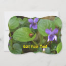 Search for viola photography Flower