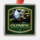 Search for washington christmas tree decorations Hiking