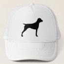Search for pointer hats German shorthaired pointer