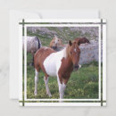 Search for painted pony invitations Horse