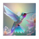 Search for hummingbird tiles Wildlife