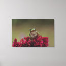 Search for wild one canvas prints Close up