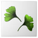 Search for ginkgo leaves tiles Pattern