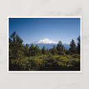 Search for mount washington postcards Retro