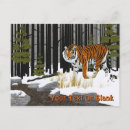 Search for siberian postcards Wildlife
