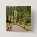 Search for woods badges Muir woods national monument