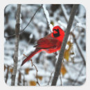 Search for cardinal in the snow stickers Red
