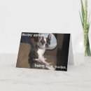 Search for bulldog get well cards French