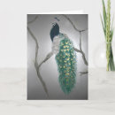 Search for peacock cards Plumage