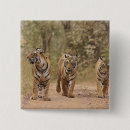 Search for tracks badges Animal