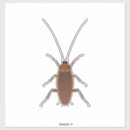 Search for crawl stickers Bug