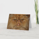 Search for alive cards Cat