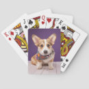 Search for corgi playing cards Queen's dog