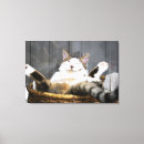 Search for bed canvas prints Cat