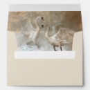 Search for happy birthday envelopes Party