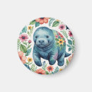 Search for manatee magnets Sea cow