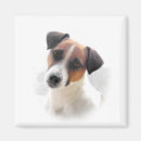 Search for jack magnets Portrait