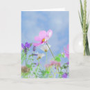 Search for flowered cards Wild flowers