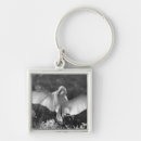 Search for infrared key rings Black