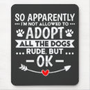 Search for adopting mouse mats Animal shelter