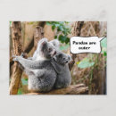 Search for koala postcards Cute