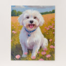 Search for maltese dog puzzles Puppy