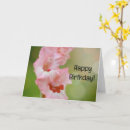 Search for gladiolus flowers cards Pink