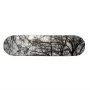 Search for snow skateboards Nature