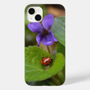 Search for ladybug cases Beetle