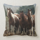 Search for mustang cushions Equestrian