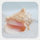 Search for conch shells stickers Beach