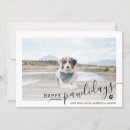 Search for black white paw print postcards Happy pawlidays