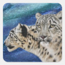 Search for habitat stickers Snow