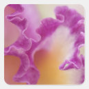 Search for hybrid stickers Flower