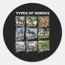 Search for horseback riding stickers Stable