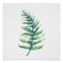 Search for fern art posters Minimalist