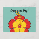 Search for green hibiscus postcards Nature