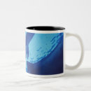 Search for riviera maya mugs Sea