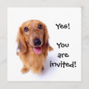 Search for come as you are party invitations Cute