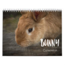 Search for bunny rabbit calendars Cute