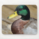Search for beaks standard mouse mats Nature