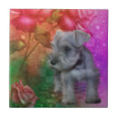 Search for schnauzer coasters Miniature